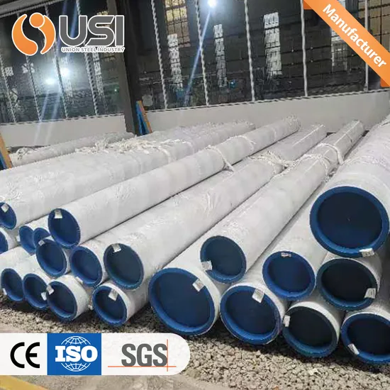 Professional Technology 2201 2205 2507 Super Duplex Stainless Steel Pipe and Fitting 
